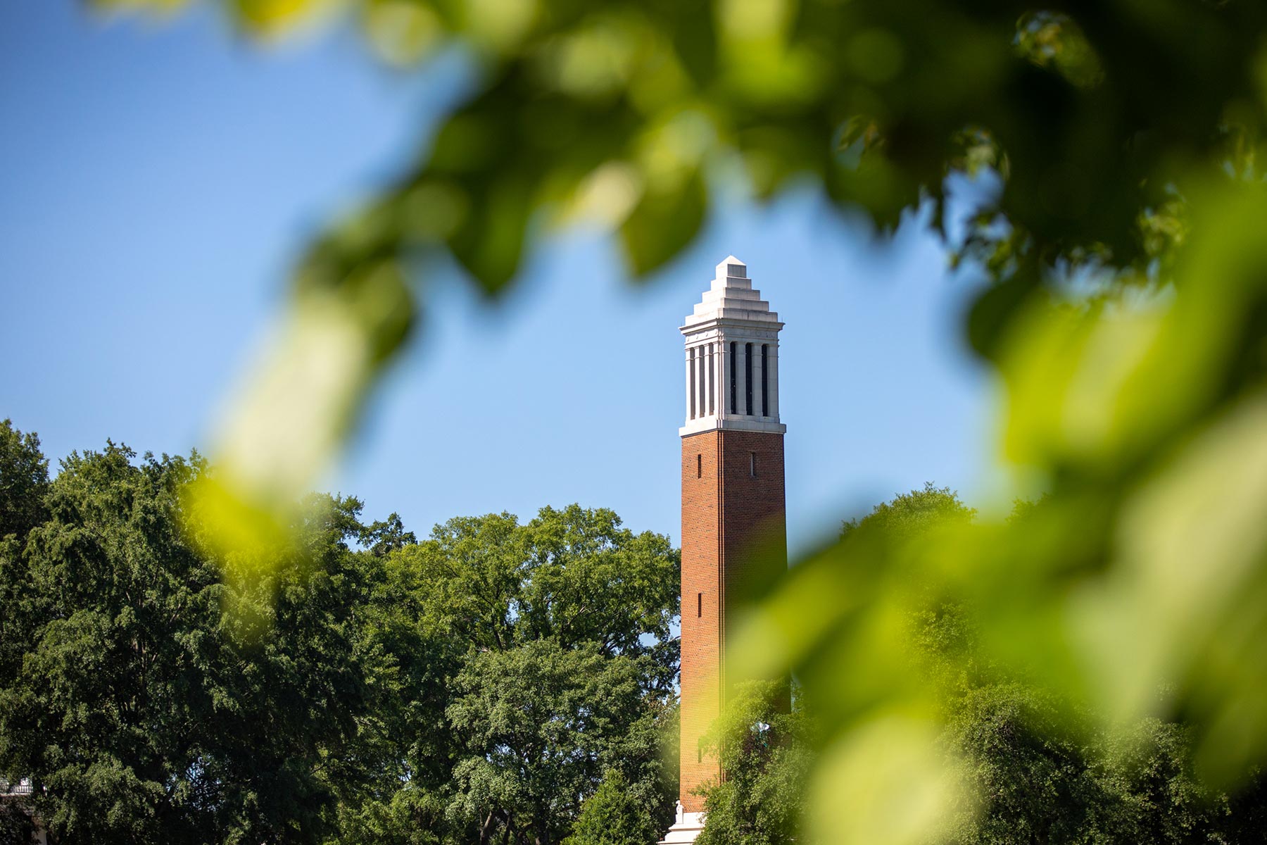 Denny Chimes